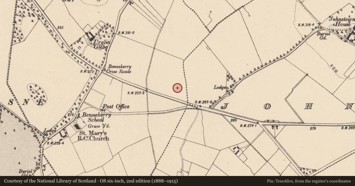 Ordnance Survey six-inch map, 2nd edition (1888–1915) covering the location of Earthwork, Ballynakillbeg, County Carlow, with a pin at the register's coordinates
