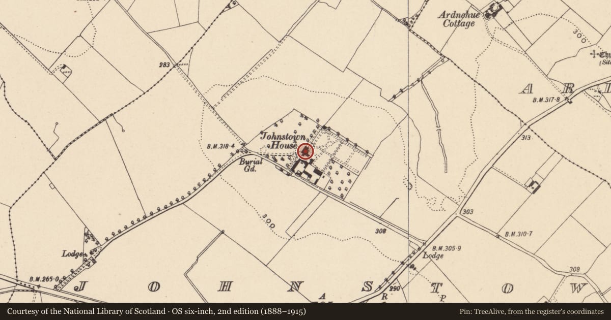Ordnance Survey six-inch map, 2nd edition (1888–1915) covering the location of Castle - unclassified, Johnstown, County Carlow, with a pin at the register's coordinates
