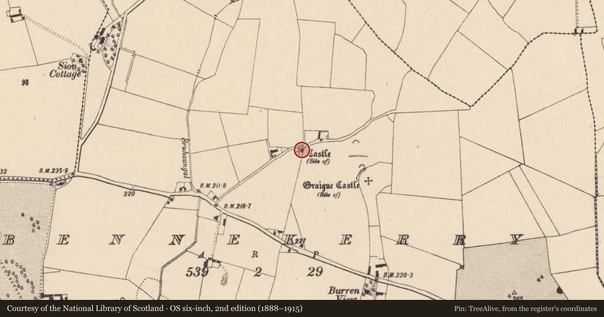 Ordnance Survey six-inch map, 2nd edition (1888–1915) covering the location of Castle - unclassified, Bennekerry, County Carlow, with a pin at the register's coordinates