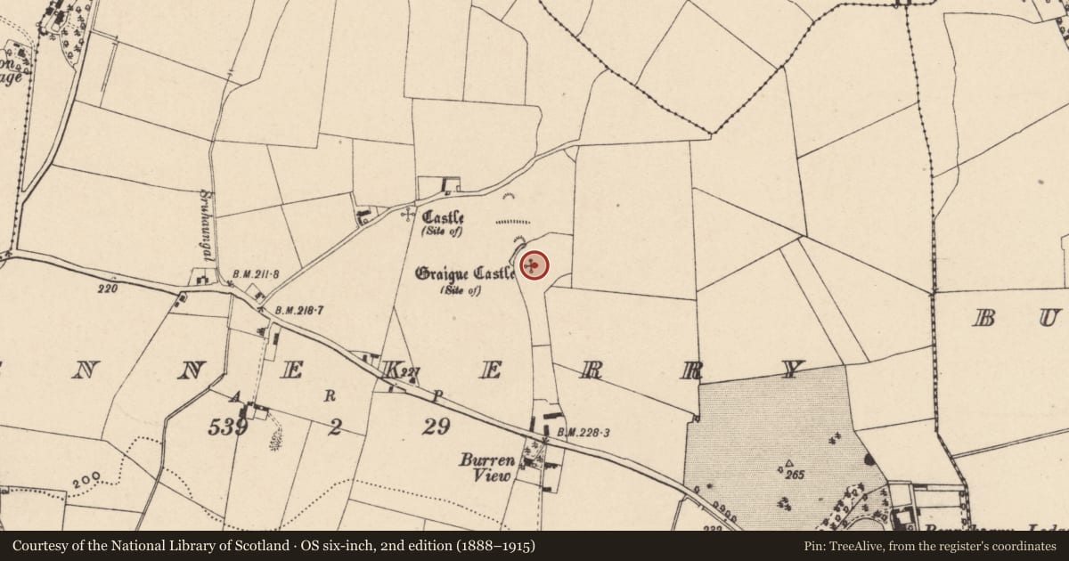 Ordnance Survey six-inch map, 2nd edition (1888–1915) covering the location of Castle - unclassified, Bennekerry, County Carlow, with a pin at the register's coordinates