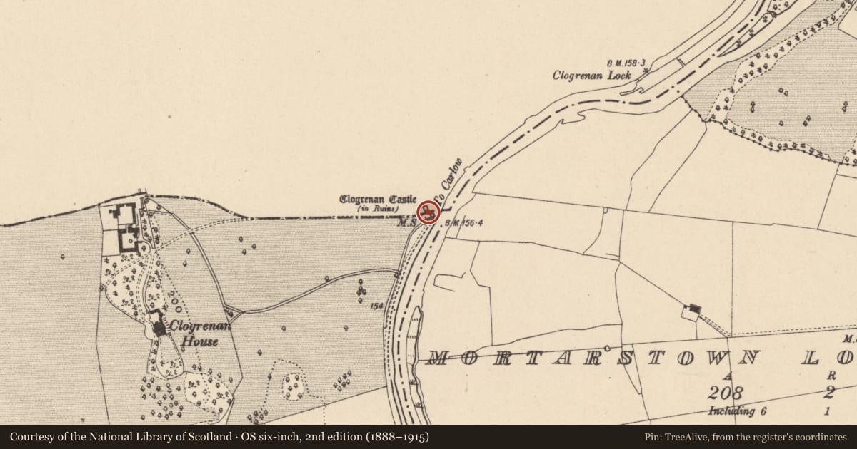 Ordnance Survey six-inch map, 2nd edition (1888–1915) covering the location of Castle - tower house, Clogrenan, County Carlow, with a pin at the register's coordinates