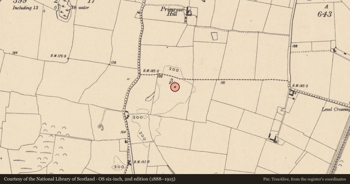 Ordnance Survey six-inch map, 2nd edition (1888–1915) covering the location of Enclosure, Ballycarney, County Carlow, with a pin at the register's coordinates