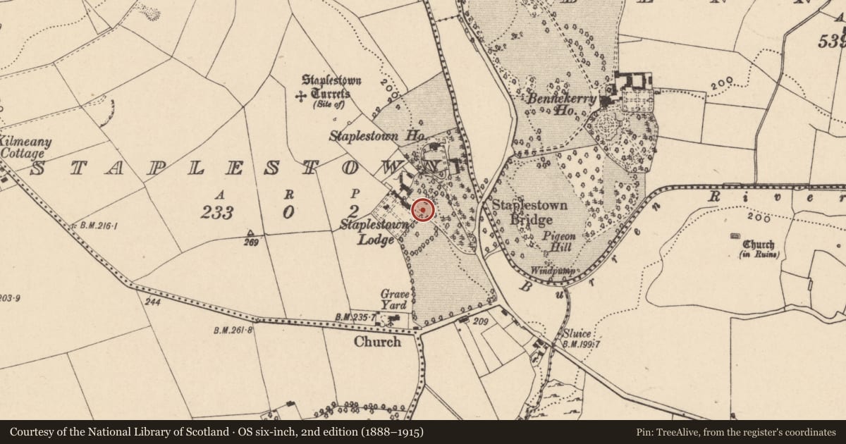 Ordnance Survey six-inch map, 2nd edition (1888–1915) covering the location of Settlement deserted - medieval, Staplestown, County Carlow, with a pin at the register's coordinates