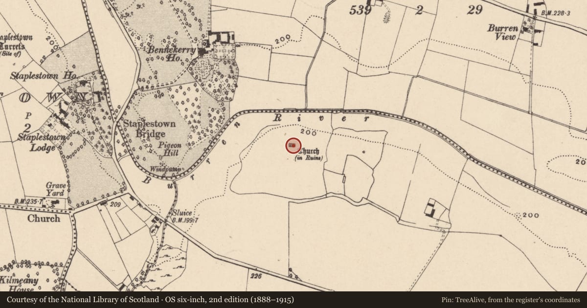 Ordnance Survey six-inch map, 2nd edition (1888–1915) covering the location of Church, Ballycrogue, County Carlow, with a pin at the register's coordinates