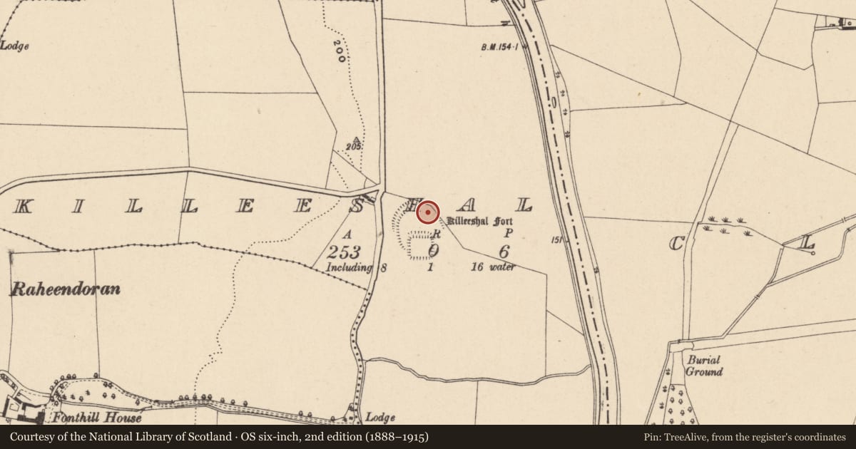 Ordnance Survey six-inch map, 2nd edition (1888–1915) covering the location of Ringfort - rath, Killeeshal, County Carlow, with a pin at the register's coordinates