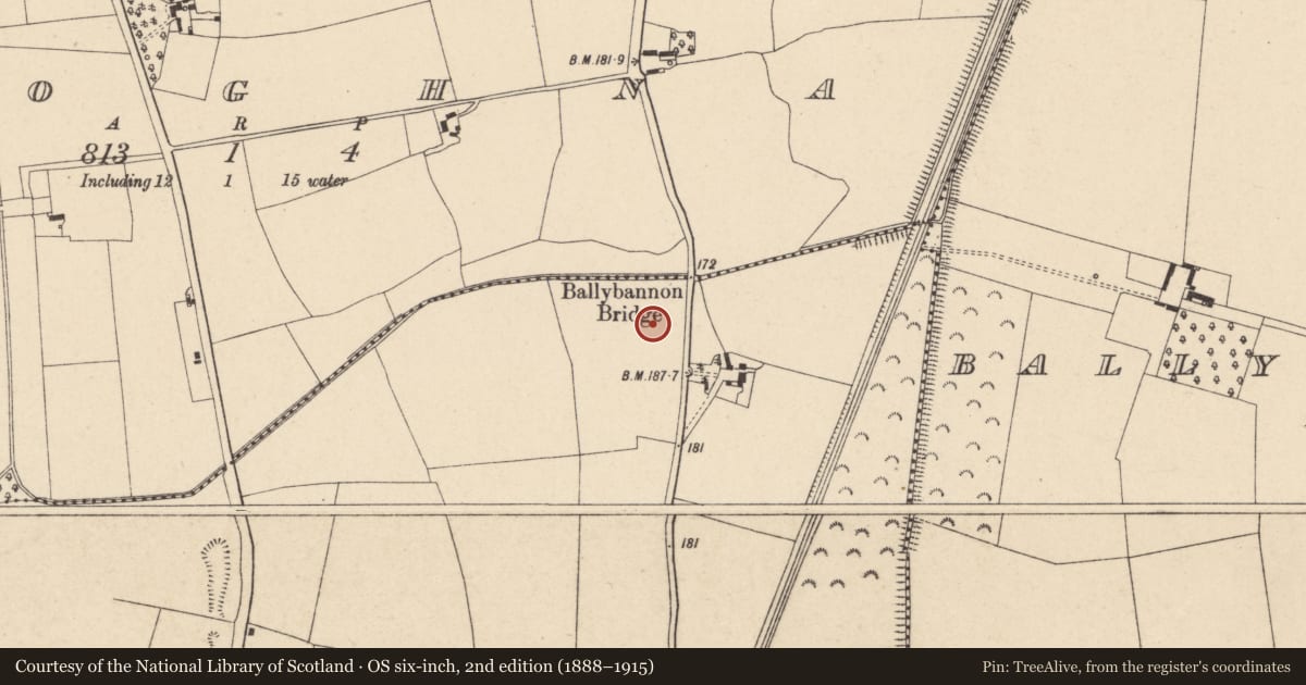Ordnance Survey six-inch map, 2nd edition (1888–1915) covering the location of Enclosure, Ballybannon, County Carlow, with a pin at the register's coordinates