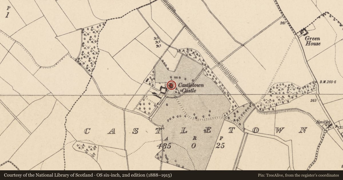 Ordnance Survey six-inch map, 2nd edition (1888–1915) covering the location of Castle - tower house, Castletown, County Carlow, with a pin at the register's coordinates