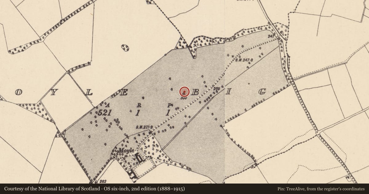 Ordnance Survey six-inch map, 2nd edition (1888–1915) covering the location of Mound, Moyle Big, County Carlow, with a pin at the register's coordinates