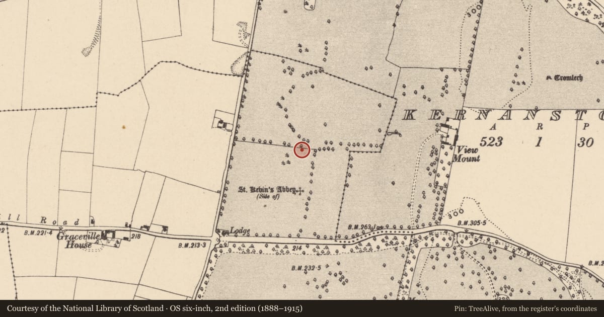 Ordnance Survey six-inch map, 2nd edition (1888–1915) covering the location of Enclosure, Chapelstown, County Carlow, with a pin at the register's coordinates