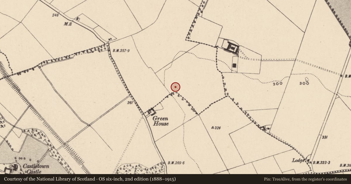 Ordnance Survey six-inch map, 2nd edition (1888–1915) covering the location of Excavation - miscellaneous, Rathcrogue, County Carlow, with a pin at the register's coordinates