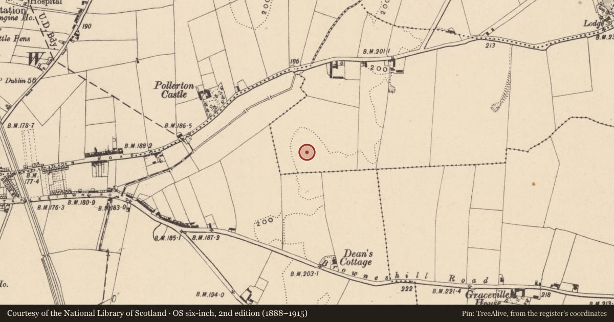 Ordnance Survey six-inch map, 2nd edition (1888–1915) covering the location of Burial ground, Kernanstown, County Carlow, with a pin at the register's coordinates