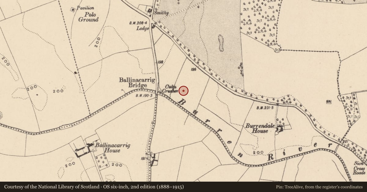 Ordnance Survey six-inch map, 2nd edition (1888–1915) covering the location of Enclosure, Chapelstown, County Carlow, with a pin at the register's coordinates