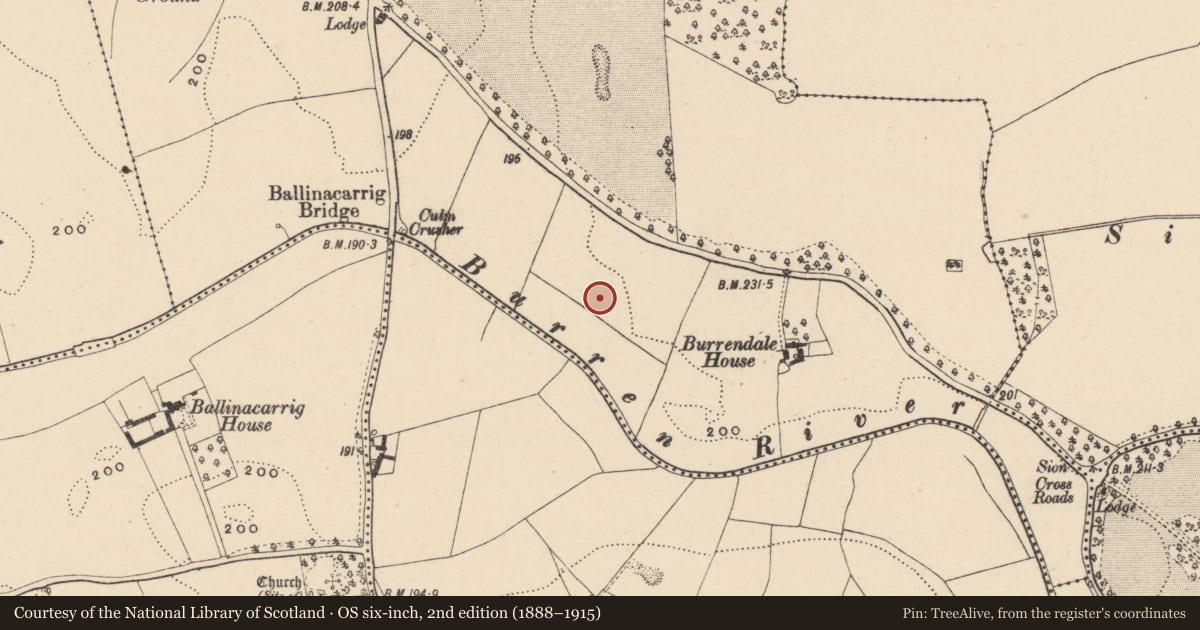 Ordnance Survey six-inch map, 2nd edition (1888–1915) covering the location of Enclosure, Chapelstown, County Carlow, with a pin at the register's coordinates