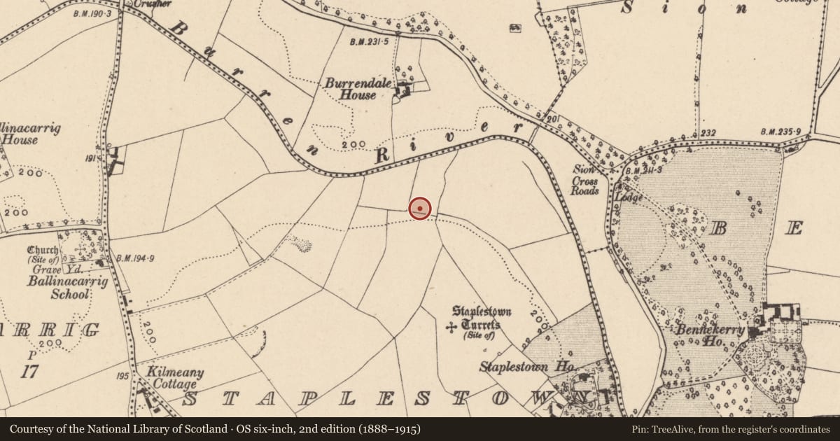 Ordnance Survey six-inch map, 2nd edition (1888–1915) covering the location of Enclosure, Staplestown, County Carlow, with a pin at the register's coordinates