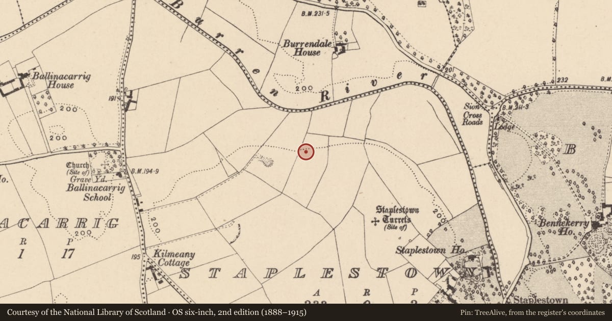 Ordnance Survey six-inch map, 2nd edition (1888–1915) covering the location of Field system, Staplestown, County Carlow, with a pin at the register's coordinates