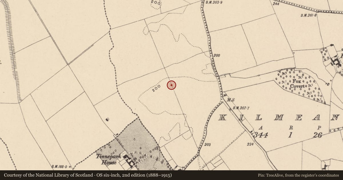 Ordnance Survey six-inch map, 2nd edition (1888–1915) covering the location of Settlement cluster, Ballinacarrig, County Carlow, with a pin at the register's coordinates