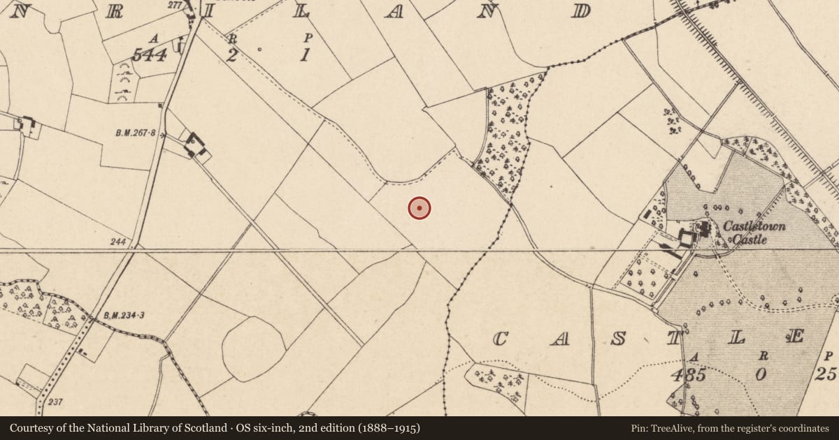 Ordnance Survey six-inch map, 2nd edition (1888–1915) covering the location of Enclosure, Tinriland, County Carlow, with a pin at the register's coordinates