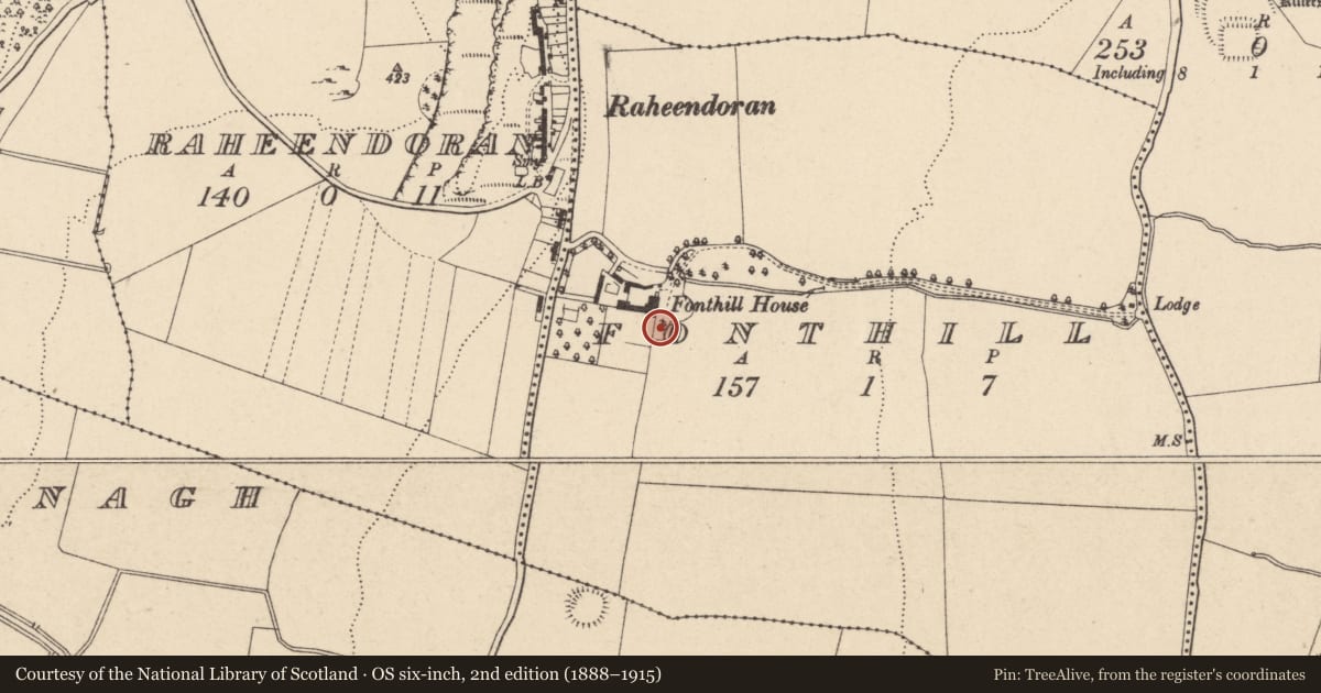 Ordnance Survey six-inch map, 2nd edition (1888–1915) covering the location of Enclosure, Fonthill, County Carlow, with a pin at the register's coordinates