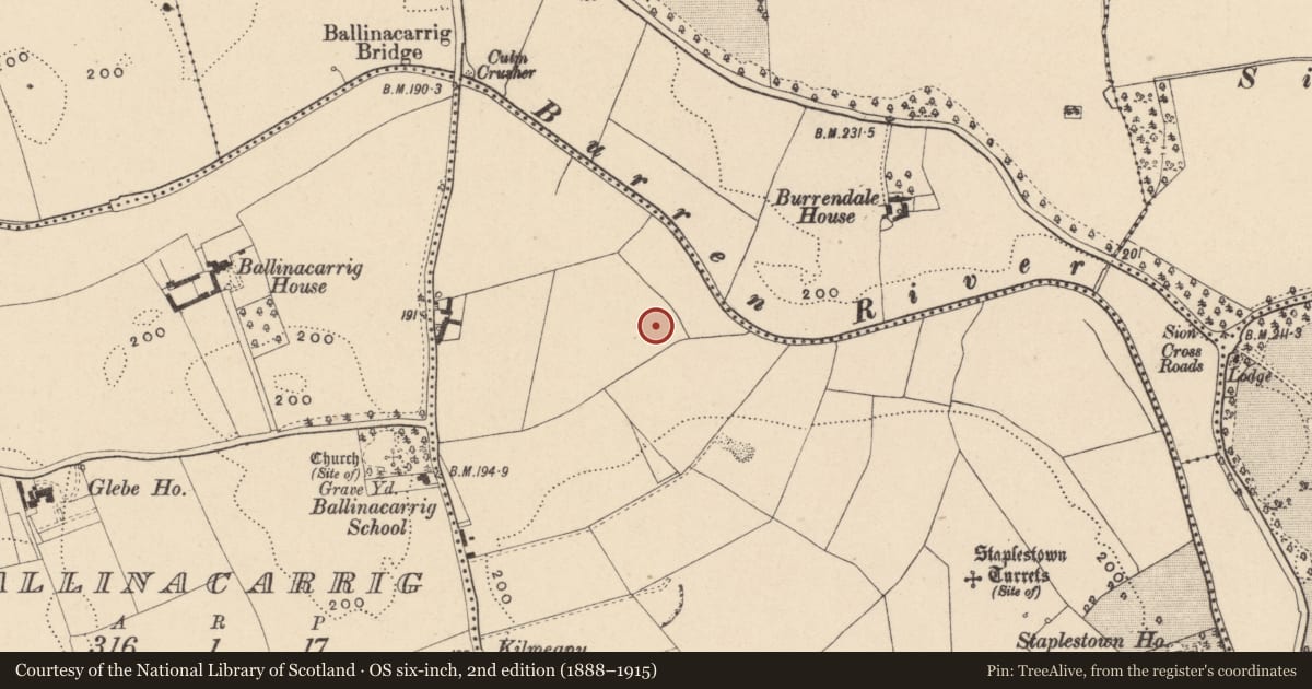 Ordnance Survey six-inch map, 2nd edition (1888–1915) covering the location of Ring-ditch, Staplestown, County Carlow, with a pin at the register's coordinates