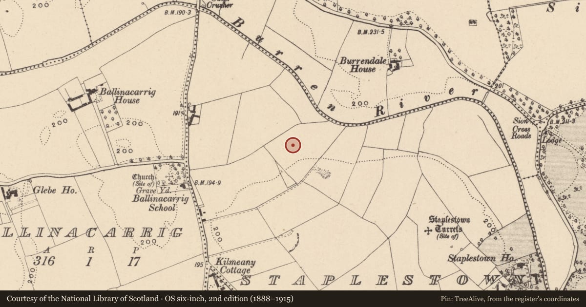 Ordnance Survey six-inch map, 2nd edition (1888–1915) covering the location of Enclosure, Staplestown, County Carlow, with a pin at the register's coordinates