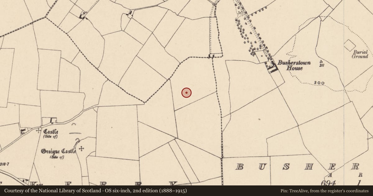 Ordnance Survey six-inch map, 2nd edition (1888–1915) covering the location of Enclosure, Bennekerry, County Carlow, with a pin at the register's coordinates