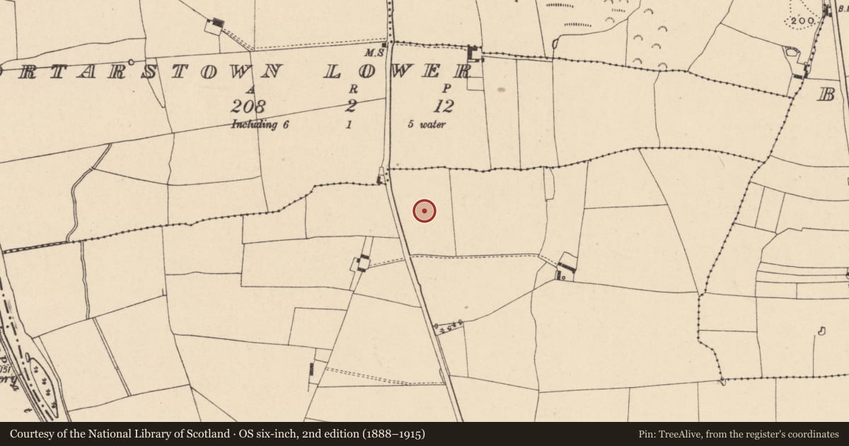 Ordnance Survey six-inch map, 2nd edition (1888–1915) covering the location of Field system, Cloghna, County Carlow, with a pin at the register's coordinates