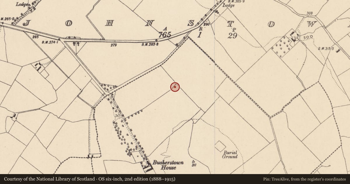 Ordnance Survey six-inch map, 2nd edition (1888–1915) covering the location of Road - road/trackway, Busherstown, County Carlow, with a pin at the register's coordinates