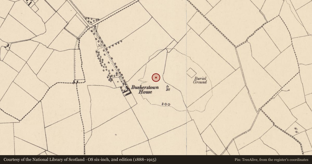 Ordnance Survey six-inch map, 2nd edition (1888–1915) covering the location of Road - hollow-way, Busherstown, County Carlow, with a pin at the register's coordinates