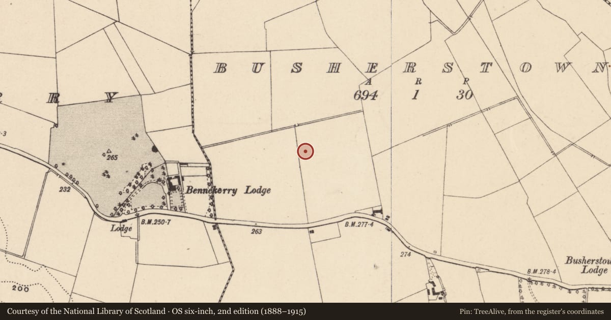 Ordnance Survey six-inch map, 2nd edition (1888–1915) covering the location of Fulacht fia, Busherstown, County Carlow, with a pin at the register's coordinates