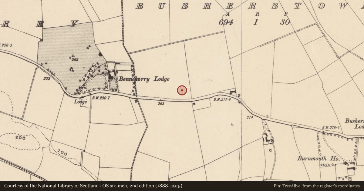 Ordnance Survey six-inch map, 2nd edition (1888–1915) covering the location of Well, Busherstown, County Carlow, with a pin at the register's coordinates