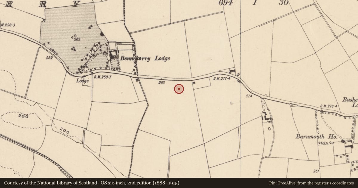 Ordnance Survey six-inch map, 2nd edition (1888–1915) covering the location of Excavation - miscellaneous, Busherstown, County Carlow, with a pin at the register's coordinates