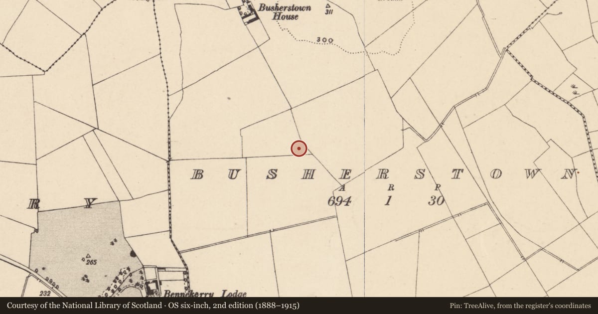 Ordnance Survey six-inch map, 2nd edition (1888–1915) covering the location of Fulacht fia, Busherstown, County Carlow, with a pin at the register's coordinates