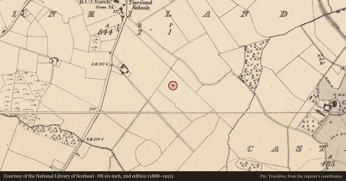 Ordnance Survey six-inch map, 2nd edition (1888–1915) covering the location of Excavation - miscellaneous, Tinriland, County Carlow, with a pin at the register's coordinates