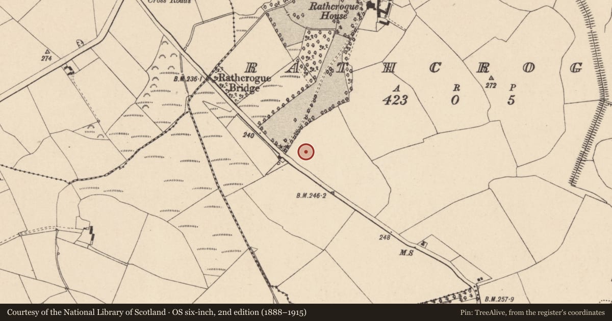 Ordnance Survey six-inch map, 2nd edition (1888–1915) covering the location of Excavation - miscellaneous, Rathcrogue, County Carlow, with a pin at the register's coordinates