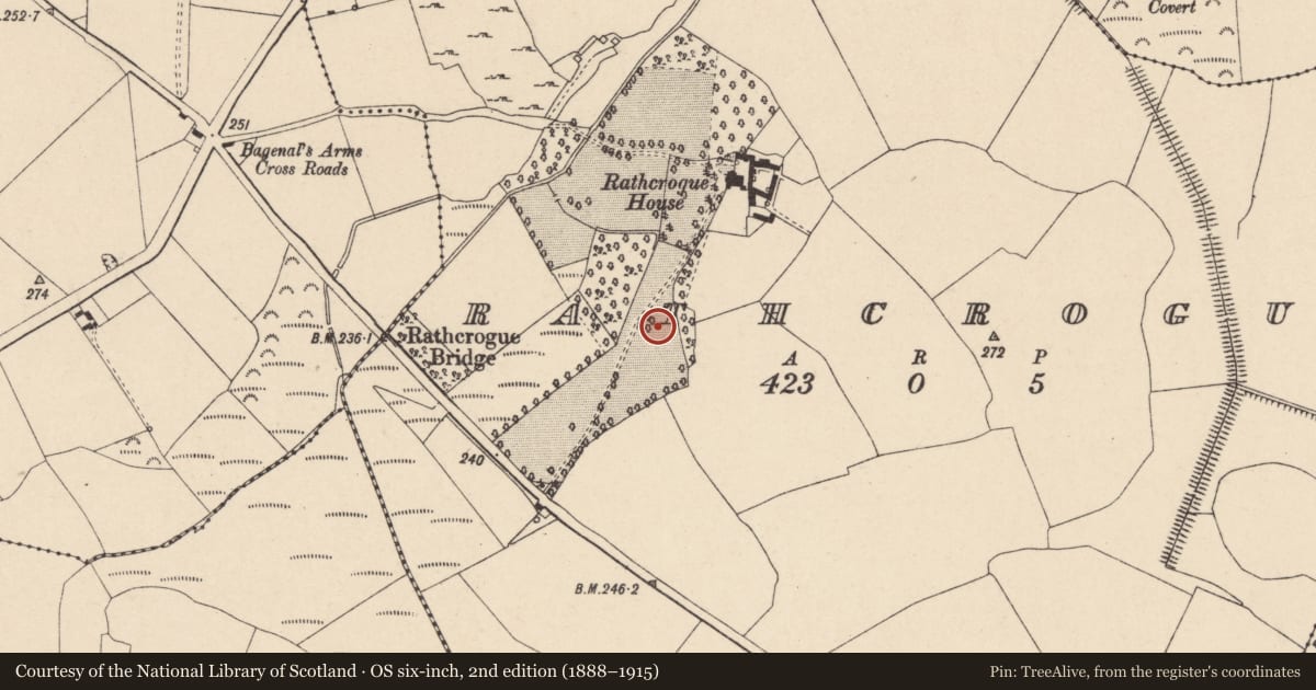 Ordnance Survey six-inch map, 2nd edition (1888–1915) covering the location of Fulacht fia, Rathcrogue, County Carlow, with a pin at the register's coordinates