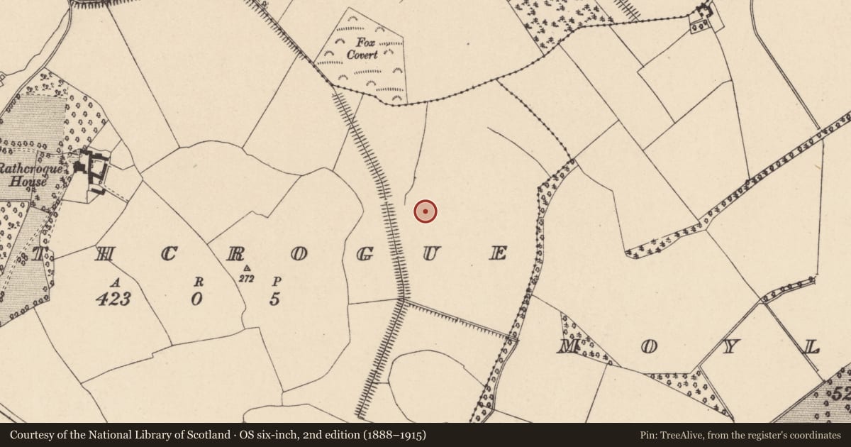 Ordnance Survey six-inch map, 2nd edition (1888–1915) covering the location of Charcoal-making site, Rathcrogue, County Carlow, with a pin at the register's coordinates