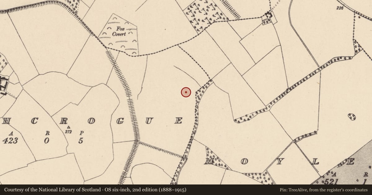 Ordnance Survey six-inch map, 2nd edition (1888–1915) covering the location of Charcoal-making site, Rathcrogue, County Carlow, with a pin at the register's coordinates