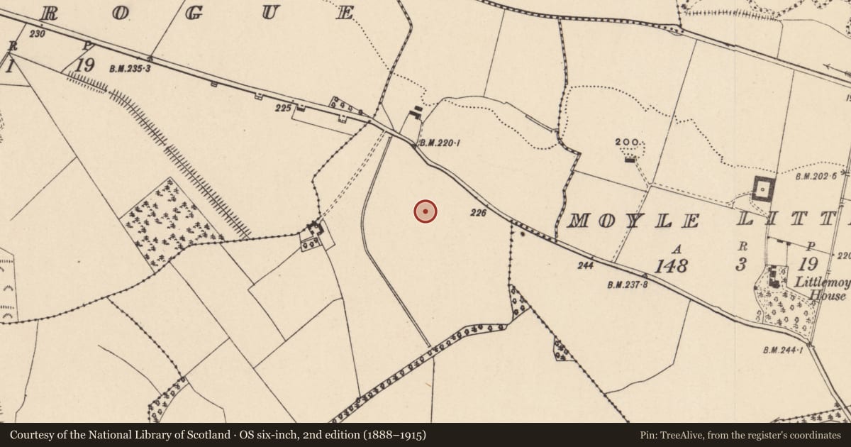 Ordnance Survey six-inch map, 2nd edition (1888–1915) covering the location of Metalworking site, Moyle Big, County Carlow, with a pin at the register's coordinates