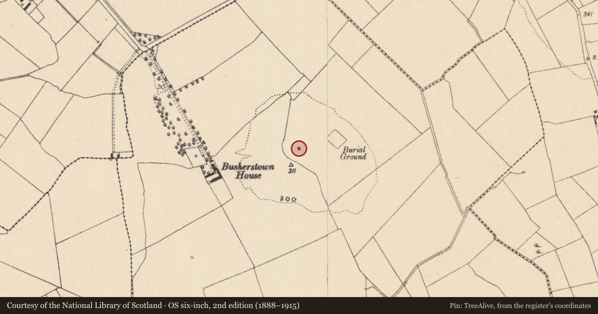 Ordnance Survey six-inch map, 2nd edition (1888–1915) covering the location of Enclosure, Busherstown, County Carlow, with a pin at the register's coordinates