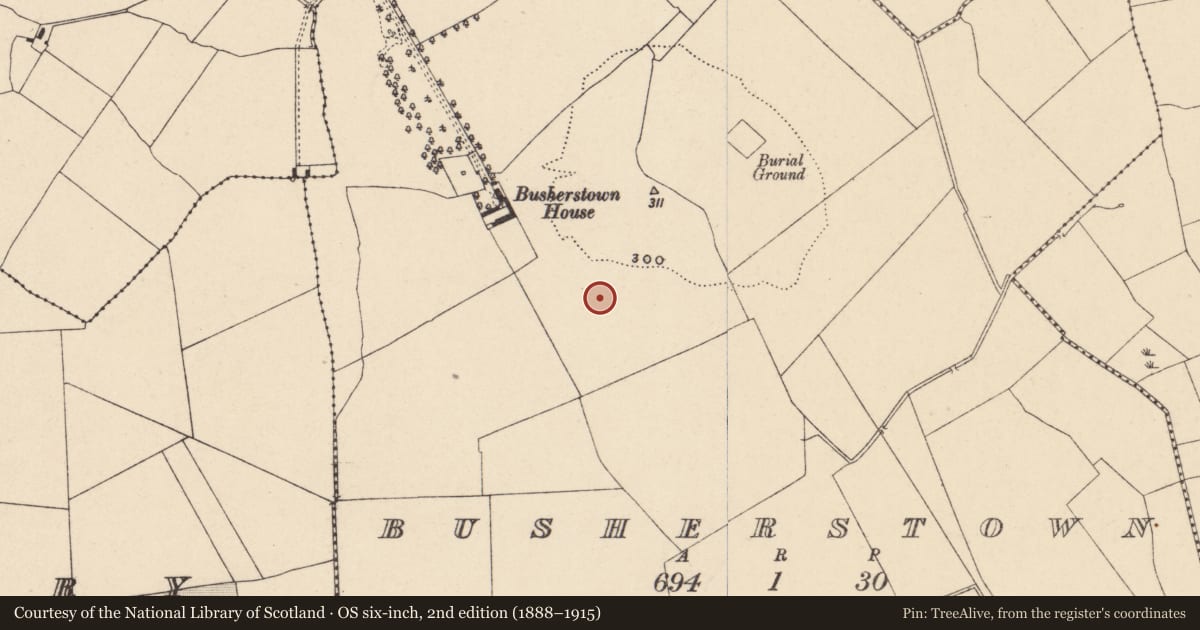 Ordnance Survey six-inch map, 2nd edition (1888–1915) covering the location of House - Neolithic, Busherstown, County Carlow, with a pin at the register's coordinates