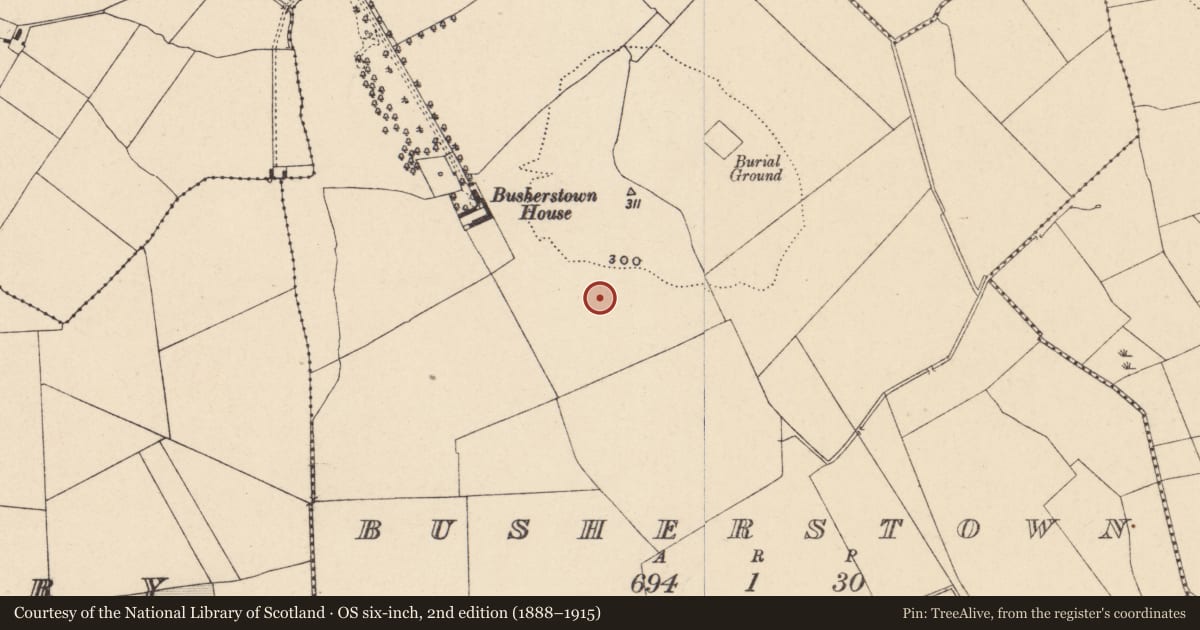 Ordnance Survey six-inch map, 2nd edition (1888–1915) covering the location of Cremation pit, Busherstown, County Carlow, with a pin at the register's coordinates