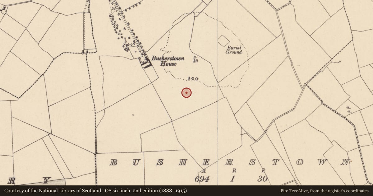 Ordnance Survey six-inch map, 2nd edition (1888–1915) covering the location of Cremation pit, Busherstown, County Carlow, with a pin at the register's coordinates