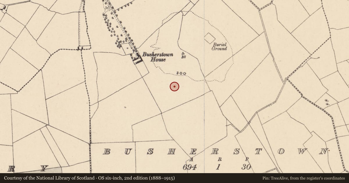 Ordnance Survey six-inch map, 2nd edition (1888–1915) covering the location of Cremation pit, Busherstown, County Carlow, with a pin at the register's coordinates