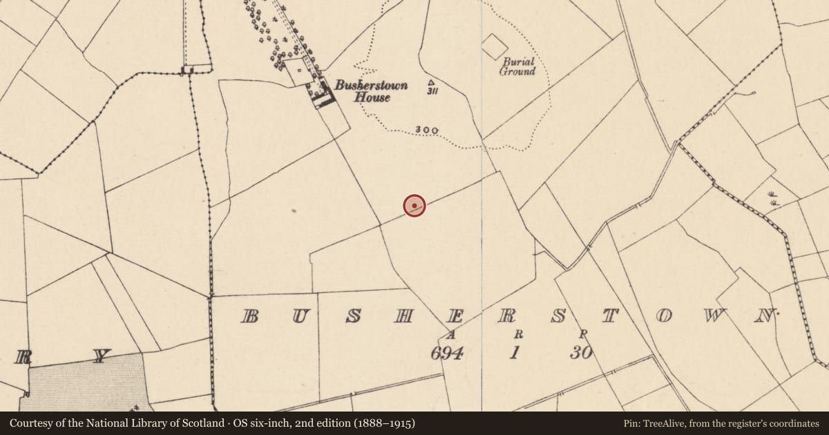 Ordnance Survey six-inch map, 2nd edition (1888–1915) covering the location of Cremation pit, Busherstown, County Carlow, with a pin at the register's coordinates