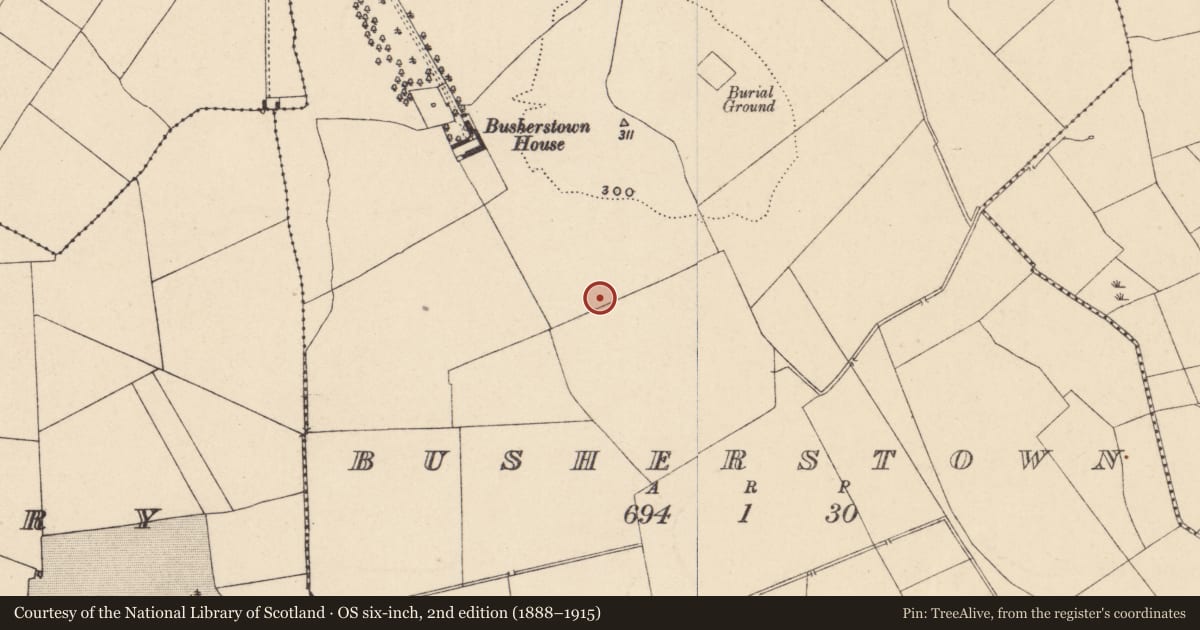 Ordnance Survey six-inch map, 2nd edition (1888–1915) covering the location of Cremation pit, Busherstown, County Carlow, with a pin at the register's coordinates