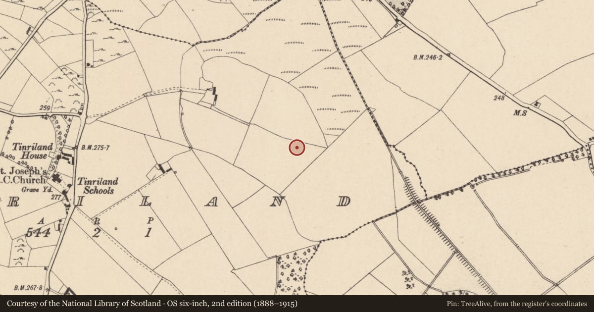 Ordnance Survey six-inch map, 2nd edition (1888–1915) covering the location of House - Bronze Age, Tinriland, County Carlow, with a pin at the register's coordinates