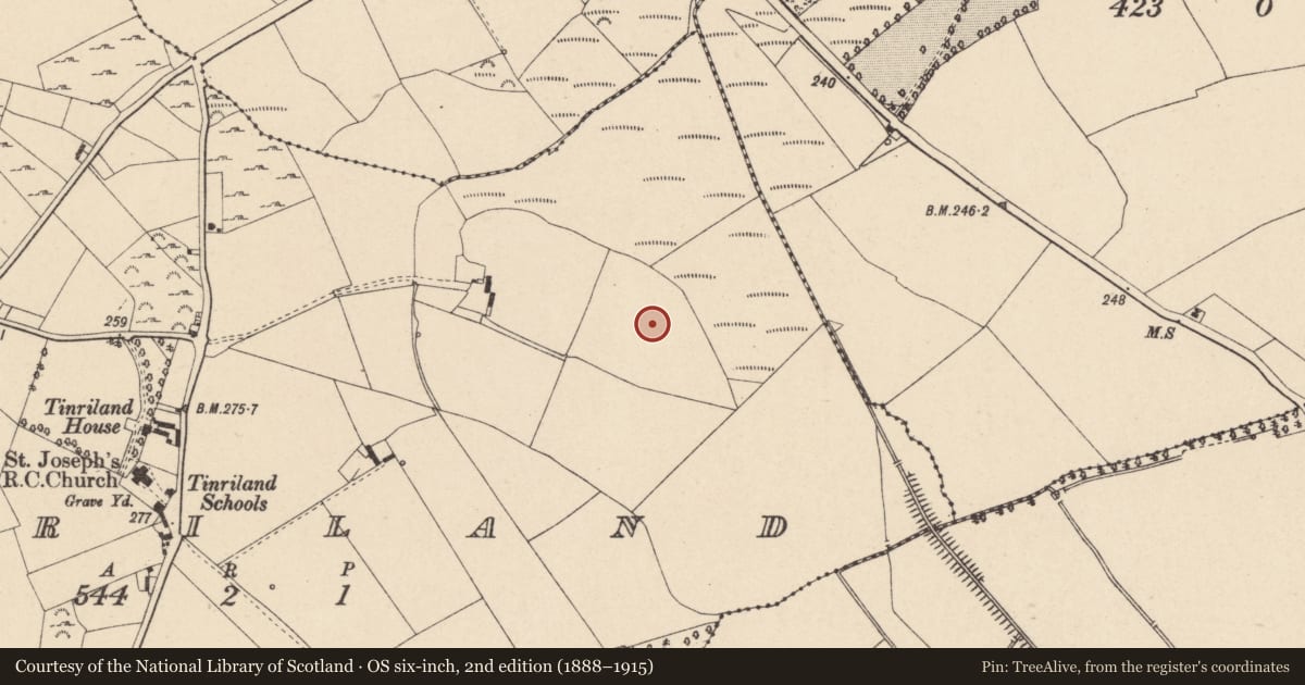 Ordnance Survey six-inch map, 2nd edition (1888–1915) covering the location of Flat cemetery, Tinriland, County Carlow, with a pin at the register's coordinates