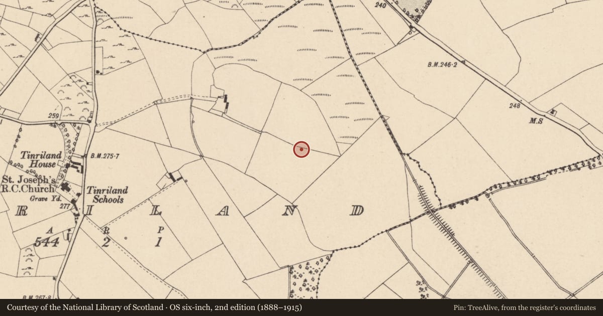 Ordnance Survey six-inch map, 2nd edition (1888–1915) covering the location of Charcoal-making site, Tinriland, County Carlow, with a pin at the register's coordinates