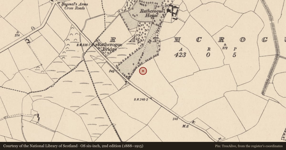 Ordnance Survey six-inch map, 2nd edition (1888–1915) covering the location of House - Bronze Age, Rathcrogue, County Carlow, with a pin at the register's coordinates
