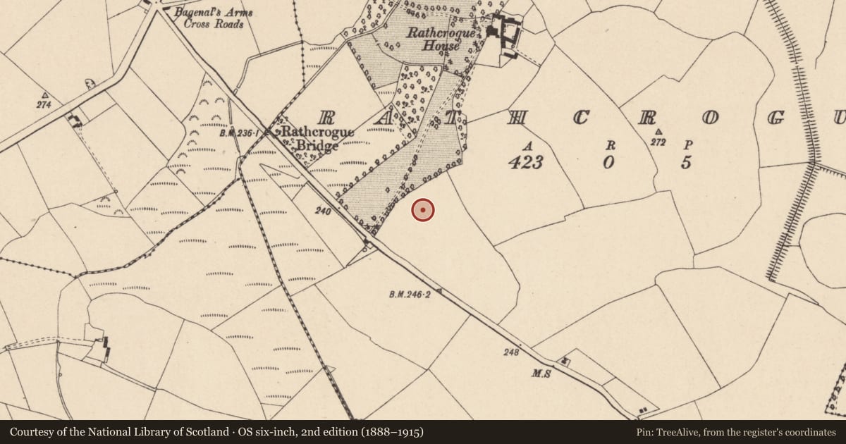 Ordnance Survey six-inch map, 2nd edition (1888–1915) covering the location of House - Neolithic, Rathcrogue, County Carlow, with a pin at the register's coordinates